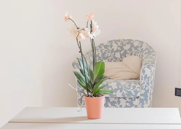 H11 Casa Benjamin Mare-sanremo